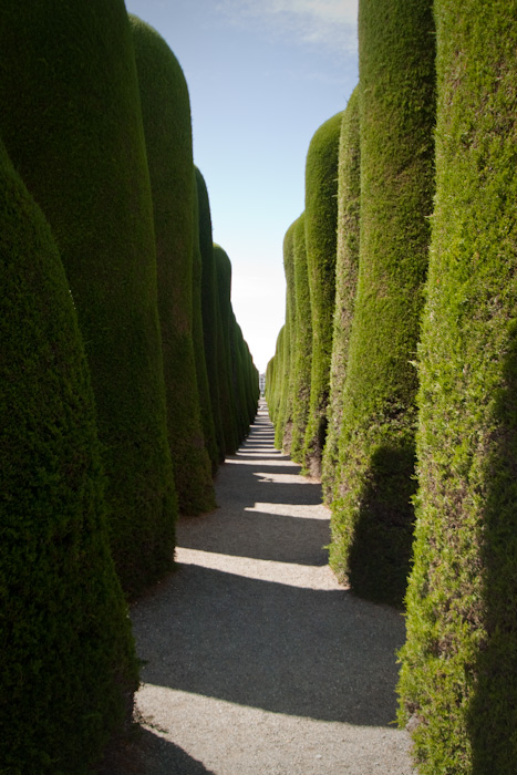 The Municipal Cemetery.