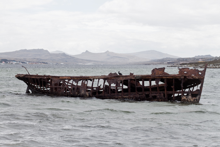 Ship wreck (2009).