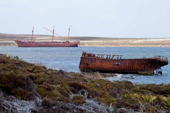 Shipwrecks at the East end of Stanley Harbour.