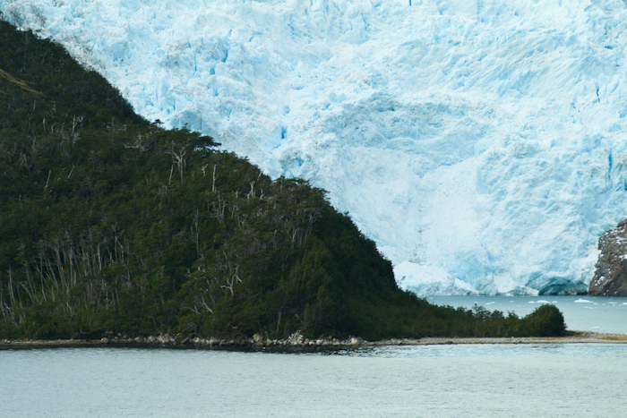 A shot of the same glacier with some trees to show the scale (2009).