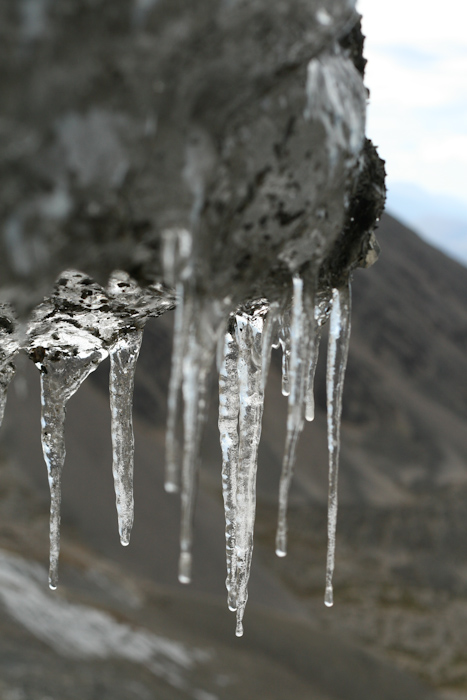 Icicles at the Martial Glacier (2009).