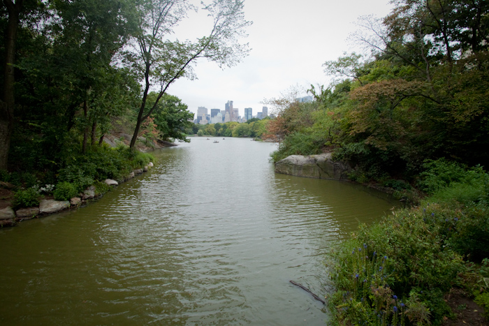 On Thursday I rode through Central Park. I like Prospect Park better.