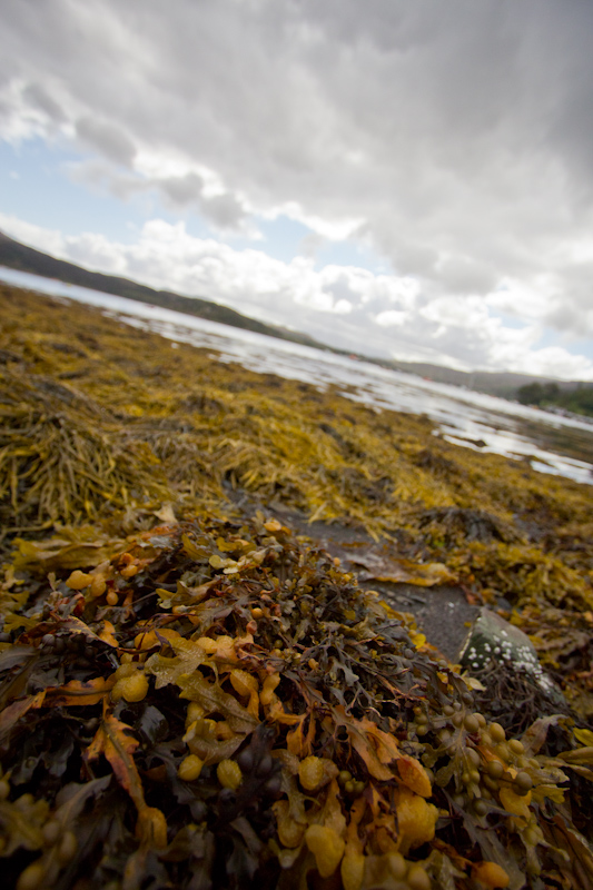 The Isle of Skye.