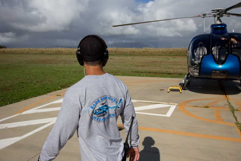 Hawaii on the Zaandam: Ground crew.