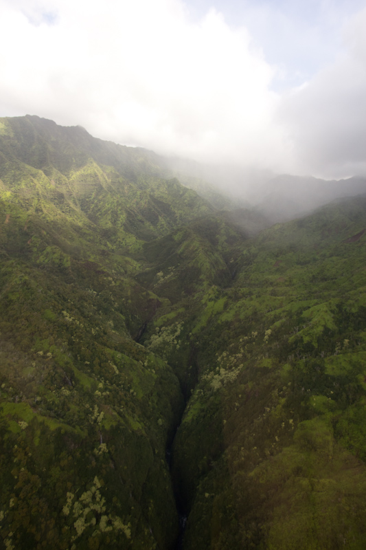 Hawaii on the Zaandam: More of Jurassic Park.