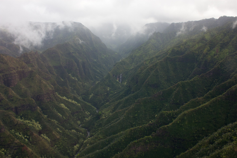 Hawaii on the Zaandam: I didn't see any dinosaurs.