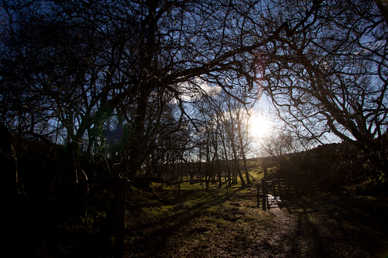 UK trip - January 2012: The Pennine Way in Teesdale.