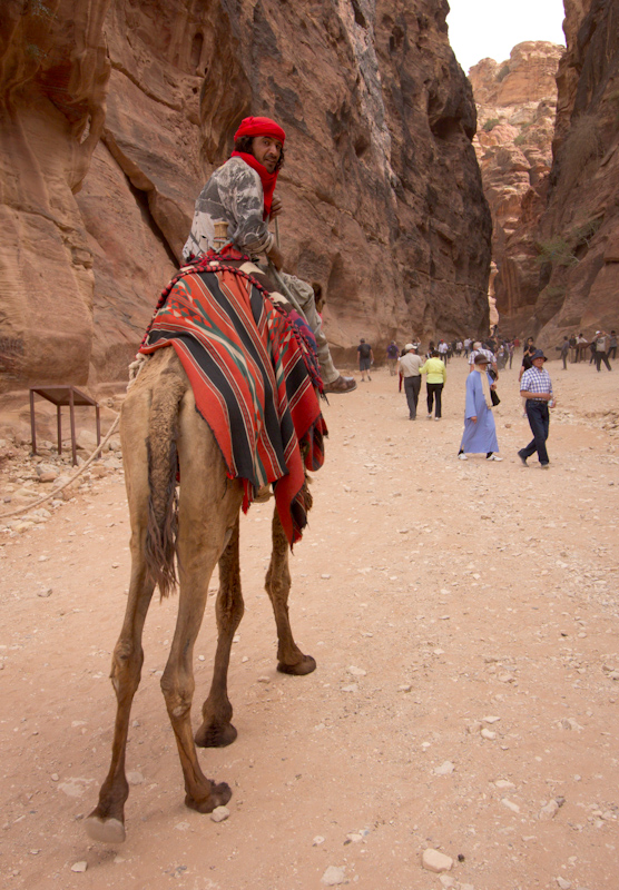 Petra, Jordan: A camel on its way to the Treasury.