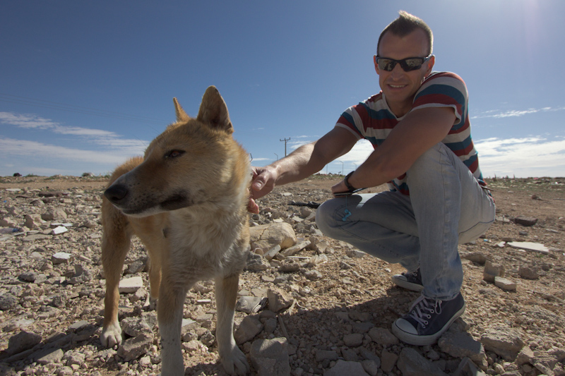 Petra, Jordan: Steve making a friend during a rest stop on the bus trip.