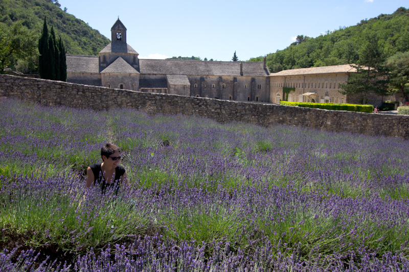 Luke and Juliane Summer Tour part 3 - Pont du Gard, Avignon, Arles, Senanque Abbey, Gordes: Senanque Abbey.