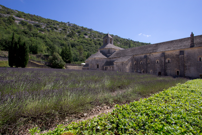 Luke and Juliane Summer Tour part 3 - Pont du Gard, Avignon, Arles, Senanque Abbey, Gordes: Senanque Abbey.