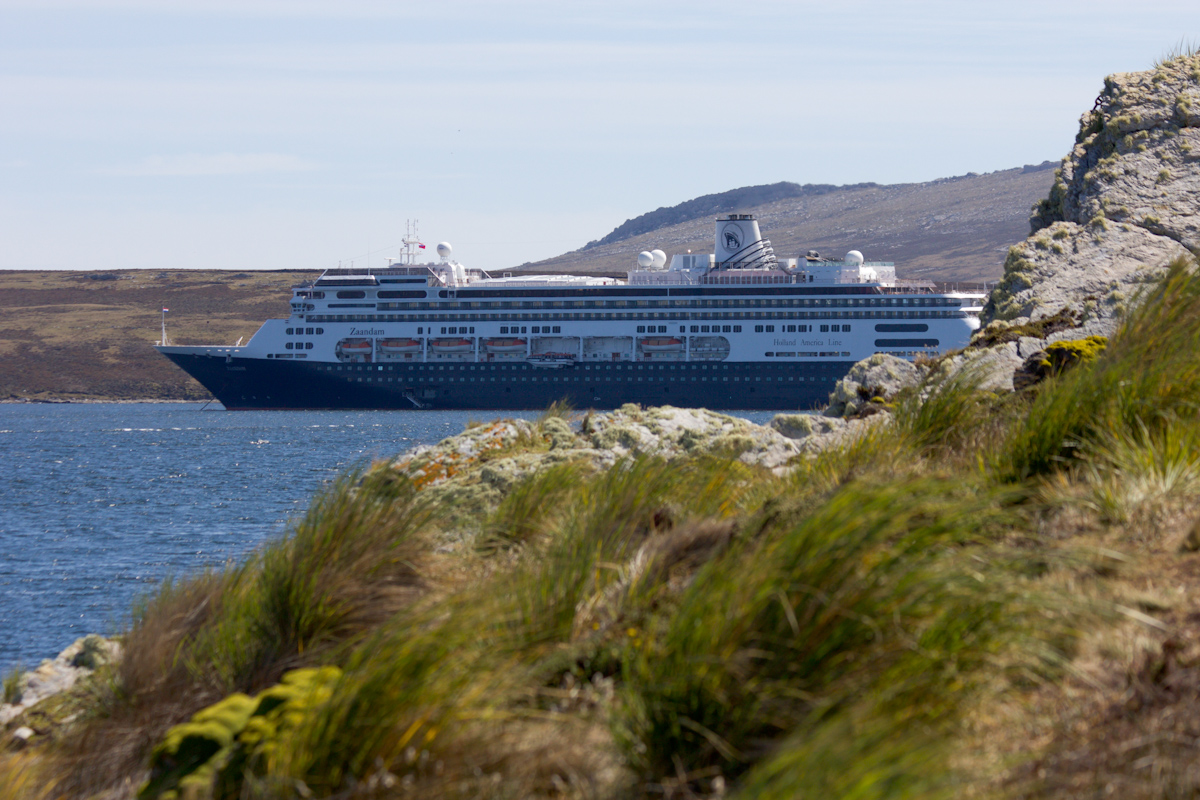 January 2016 Antarctica and Falklands: Port Stanley, Falklands