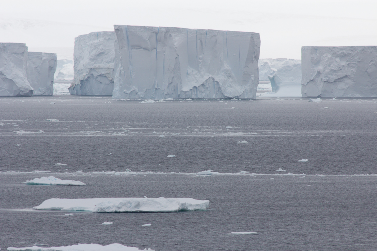 January 2016 Antarctica and Falklands: Antarctica