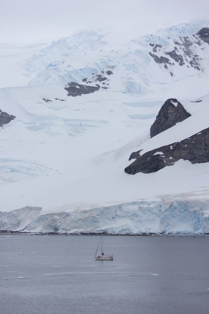 January 2016 Antarctica and Falklands: Antarctica